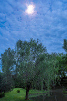 BEB_0432