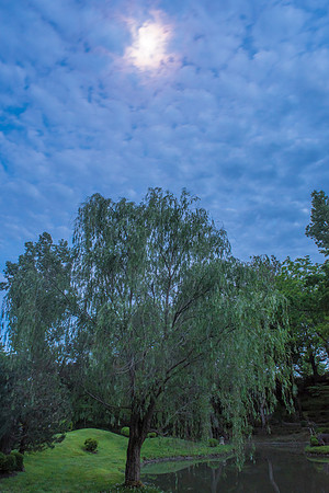 BEB_0432