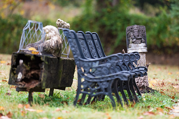 Kirkland Autumn-1253