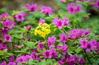 BEB_9076