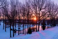 BEB_8161