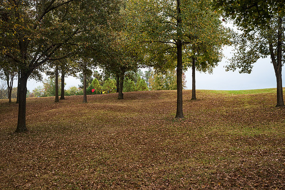 Kirkland Autumn-1631