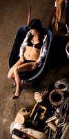 wheelbarrow 1